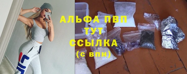 mdpv Горно-Алтайск