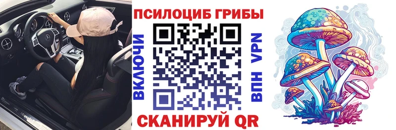где найти   мега рабочий сайт  Галлюциногенные грибы GOLDEN TEACHER  Гаджиево 